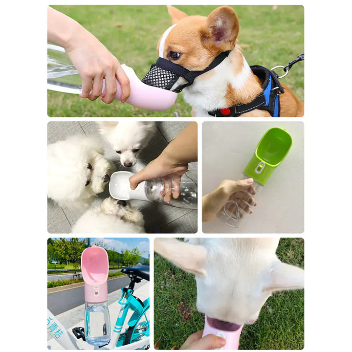 Alimentador de botella de agua para perros