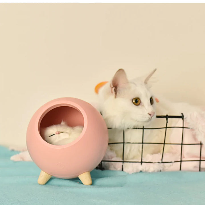Luz LED para gatos
